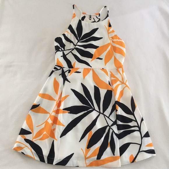 Esley Dresses & Skirts - Esley Open-Back Fern Fit and Flare Dress